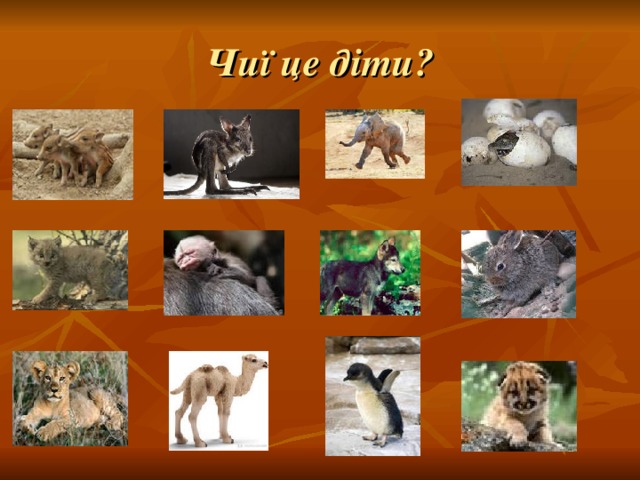 Чиї це діти? 
