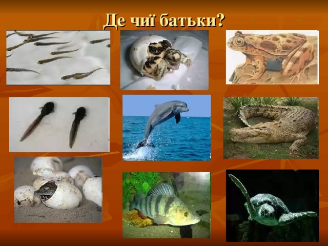 Де чиї батьки? 