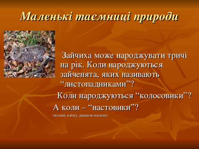 Маленькі таємниці природи  Зайчиха може народжувати тричі на рік. Коли народжуються зайченята, яких називають “листопадниками”?  Коли народжуються “колосовики”? А коли – “настовики”? (восени, влітку, ранньою весною) 