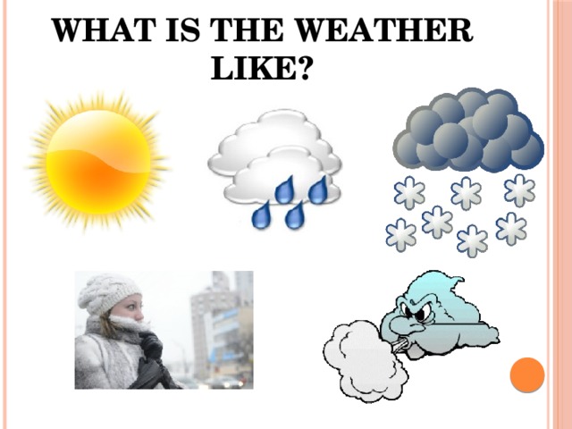 What is the weather like?