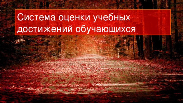 Система оценки учебных достижений обучающихся 