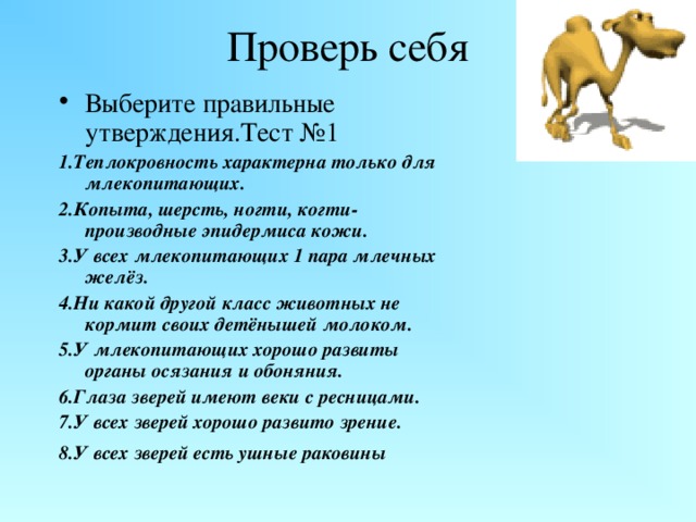 Проверь себя Выберите правильные утверждения.Тест №1 1.Теплокровность характерна только для млекопитающих. 2.Копыта, шерсть, ногти, когти-производные эпидермиса кожи. 3.У всех млекопитающих 1 пара млечных желёз. 4.Ни какой другой класс животных не кормит своих детёнышей молоком. 5.У млекопитающих хорошо развиты органы осязания и обоняния. 6.Глаза зверей имеют веки с ресницами. 7.У всех зверей хорошо развито зрение.  8.У всех зверей есть ушные раковины   