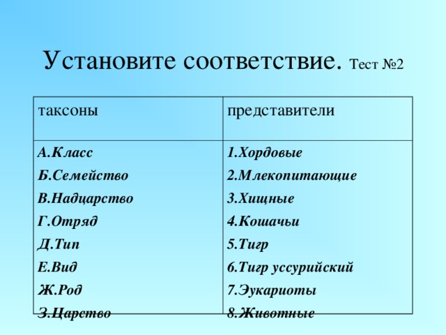 Установите соответствие. Тест №2 таксоны представители А.Класс Б.Семейство В.Надцарство Г.Отряд Д.Тип Е.Вид Ж.Род З.Царство 1.Хордовые 2.Млекопитающие 3.Хищные 4.Кошачьи 5.Тигр 6.Тигр уссурийский 7.Эукариоты 8.Животные 