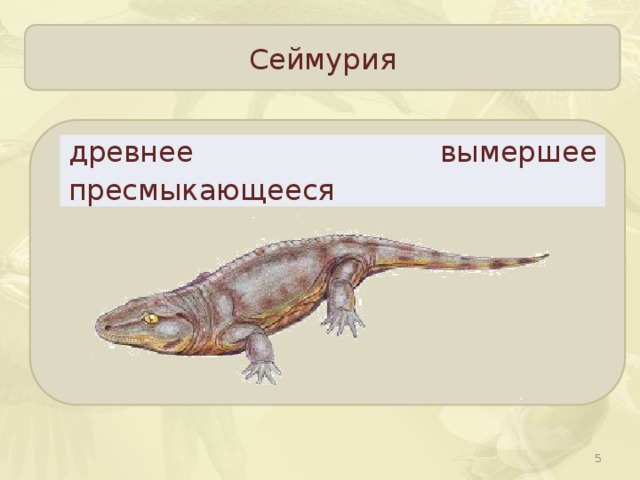 Сеймурия древнее вымершее пресмыкающееся