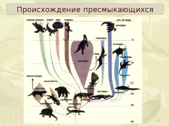 Происхождение пресмыкающихся