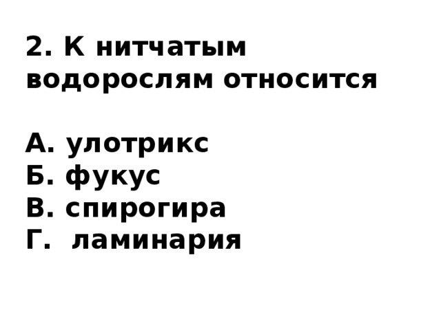 2. К нитчатым водорослям относится  А. улотрикс Б. фукус В. спирогира Г. ламинария 