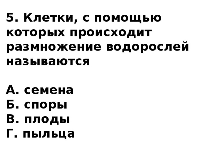 5. Клетки, с помощью которых происходит размножение водорослей называются  А. семена Б. споры В. плоды Г. пыльца 