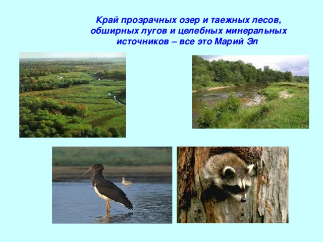 Край прозрачных озер и таежных лесов, обширных лугов и целебных минеральных источников – все это Марий Эл 