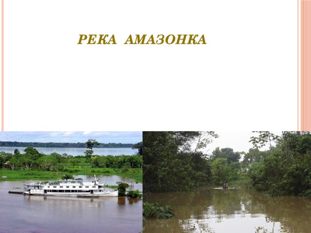 Река  Амазонка 