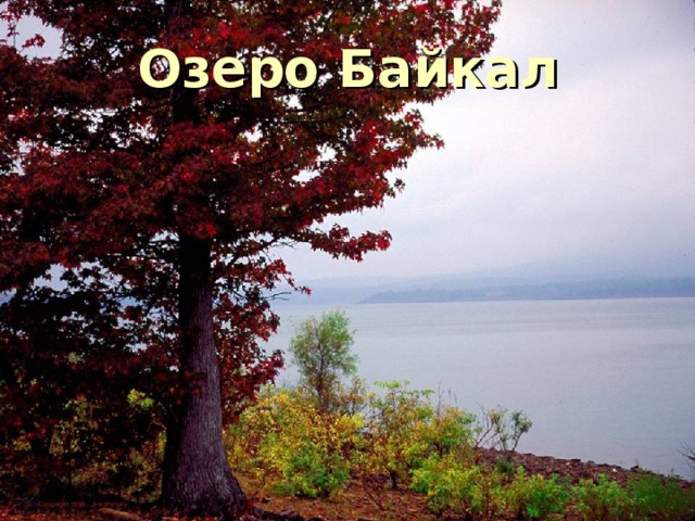 Моря Атлантического океана