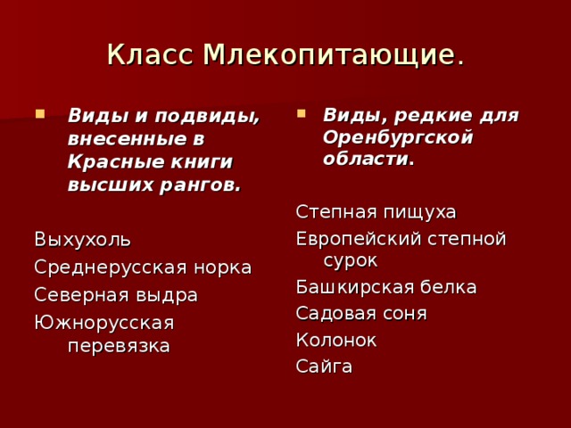 Класс Млекопитающие. Виды и подвиды, внесенные в Красные книги высших рангов.  Виды, редкие для Оренбургской области.  Выхухоль Среднерусская норка Северная выдра Южнорусская перевязка Степная пищуха Европейский степной сурок Башкирская белка Садовая соня Колонок Сайга 