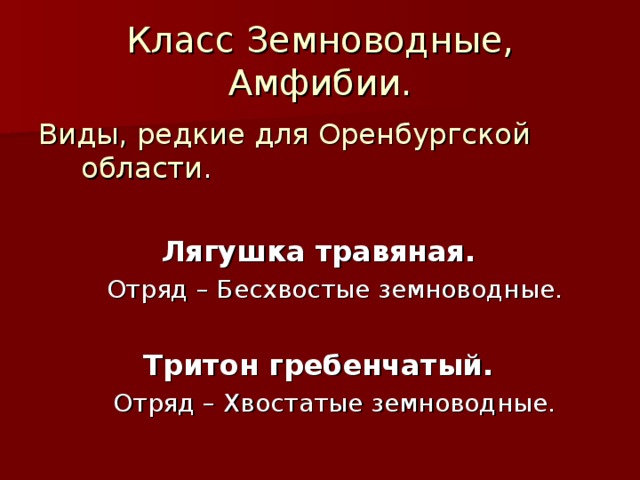 Класс Земноводные,  Амфибии. Виды, редкие для Оренбургской области . Лягушка травяная. Отряд – Бесхвостые земноводные. Отряд – Бесхвостые земноводные.  Тритон гребенчатый. Отряд – Хвостатые земноводные. Отряд – Хвостатые земноводные.   