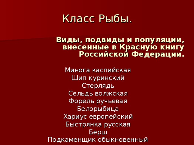 Класс Рыбы. Виды, подвиды и популяции, внесенные в Красную книгу Российской Федерации. Минога каспийская Шип куринский Стерлядь Сельдь волжская Форель ручьевая Белорыбица Хариус европейский Быстрянка русская Берш Подкаменщик обыкновенный 