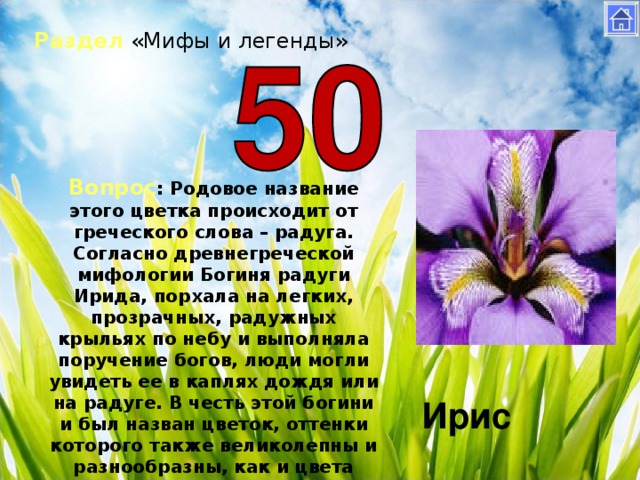 Раздел «Мифы и легенды» Вопрос : Родовое название этого цветка происходит от греческого слова – радуга. Согласно древнегреческой мифологии Богиня радуги Ирида, порхала на легких, прозрачных, радужных крыльях по небу и выполняла поручение богов, люди могли увидеть ее в каплях дождя или на радуге. В честь этой богини и был назван цветок, оттенки которого также великолепны и разнообразны, как и цвета радуги. Ирис