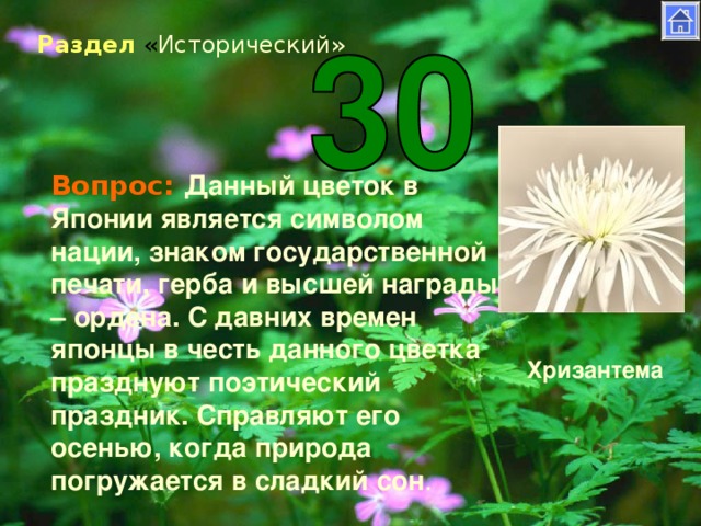 Раздел « Исторический» Вопрос: Данный цветок в Японии является символом нации, знаком государственной печати, герба и высшей награды – ордена. С давних времен японцы в честь данного цветка празднуют поэтический праздник. Справляют его осенью, когда природа погружается в сладкий сон . Хризантема
