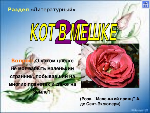 Раздел «Литературный» Вопрос:  О каком цветке не мог забыть маленький странник, побывавший на многих планетах и даже на Земле?  (Роза. “Маленький принц” А. де Сент-Экзюпери)