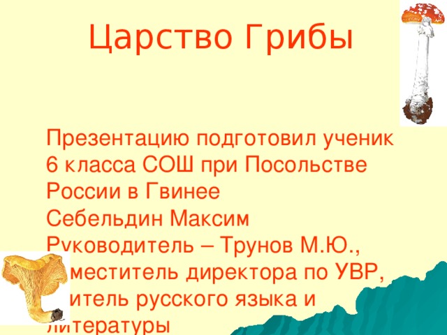 Царство Грибы  Презентацию подготовил ученик  6 класса СОШ при Посольстве России в Гвинее  Себельдин Максим  Руководитель – Трунов М.Ю., заместитель директора по УВР, учитель русского языка и литературы 