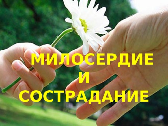 Милосердие и сострадание картинки