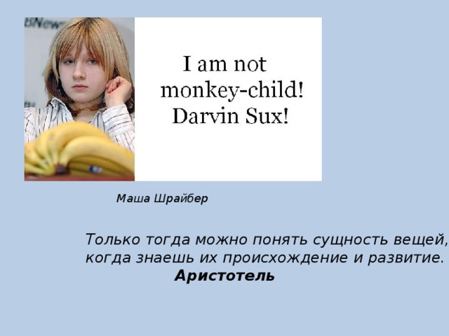 Маша Шрайбер Только тогда можно понять сущность вещей,  когда знаешь их происхождение и развитие.      Аристотель 