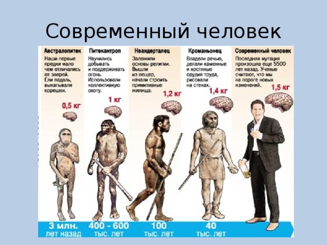 Современный человек 