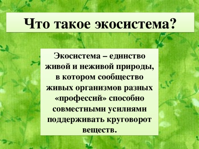 Что такое экосистема? Экосистема – единство живой и неживой природы, в котором сообщество живых организмов разных «профессий» способно совместными усилиями поддерживать круговорот веществ. 