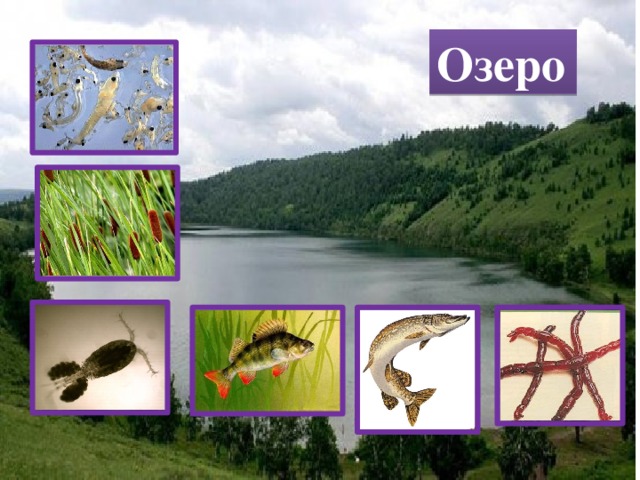 Озеро  