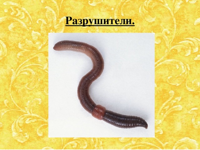 Разрушители. 
