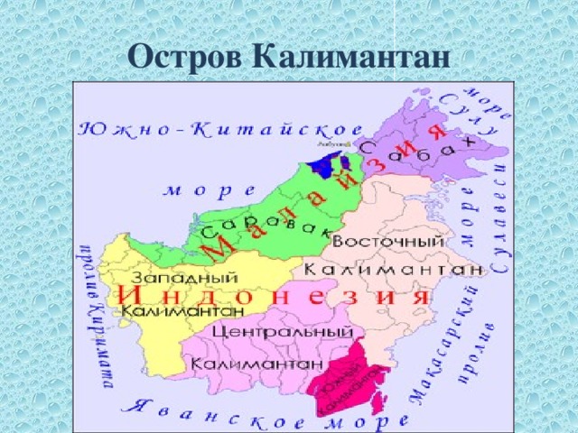 Остров Калимантан