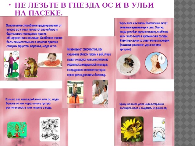 НЕ ЛЕЗЬТЕ В ГНЕЗДА ОС И В УЛЬИ НА ПАСЕКЕ.                 