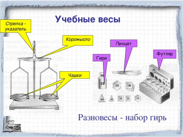 Учебные весы Стрелка - указатель Коромысло Пинцет Футляр Гири  Чашки Разновесы - набор гирь