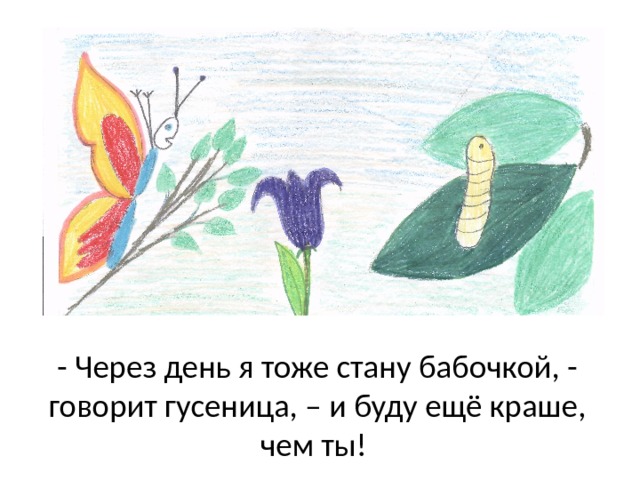 - Через день я тоже стану бабочкой, - говорит гусеница, – и буду ещё краше, чем ты! 