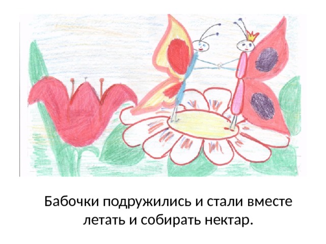 Бабочки подружились и стали вместе летать и собирать нектар. 