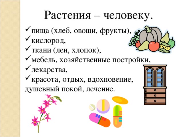 Растения – человеку. пища (хлеб, овощи, фрукты), кислород, ткани (лен, хлопок), мебель, хозяйственные постройки, лекарства, красота, отдых, вдохновение, душевный покой, лечение.