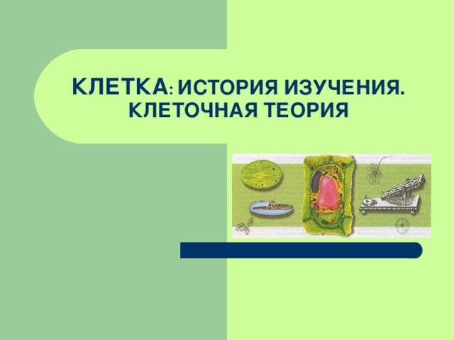 КЛЕТКА : ИСТОРИЯ ИЗУЧЕНИЯ.  КЛЕТОЧНАЯ ТЕОРИЯ 