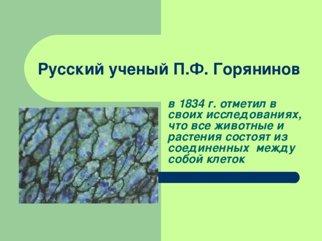 Русский ученый П.Ф. Горянинов в 1834 г. отметил в своих исследованиях, что все животные и растения состоят из соединенных между собой клеток  