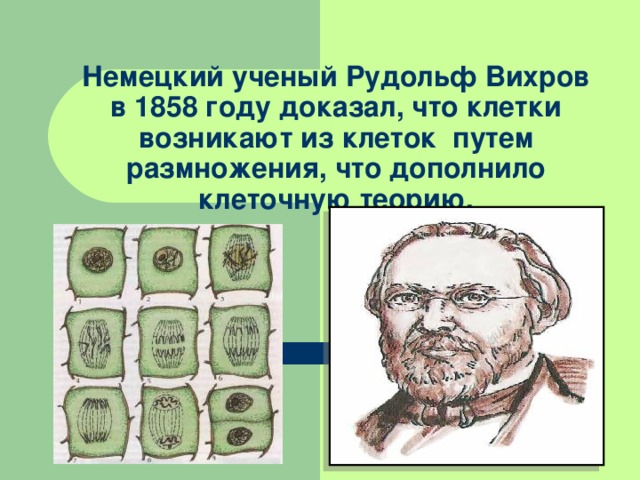Немецкий ученый Рудольф Вихров в 1858 году доказал, что клетки возникают из клеток путем размножения, что дополнило клеточную теорию. 