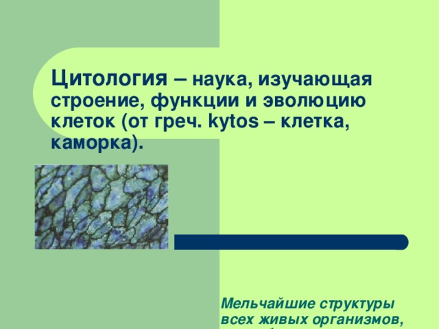 Цитология – наука, изучающая строение, функции и эволюцию клеток (от греч. kytos – клетка, каморка).         Мельчайшие структуры всех живых организмов, способные к самовоспроизведению, называются клетками. 