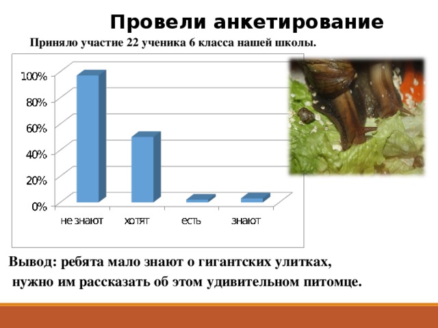 Провели анкетирование   Приняло участие 22 ученика 6 класса нашей школы.           Вывод: ребята мало знают о гигантских улитках,  нужно им рассказать об этом удивительном питомце.  