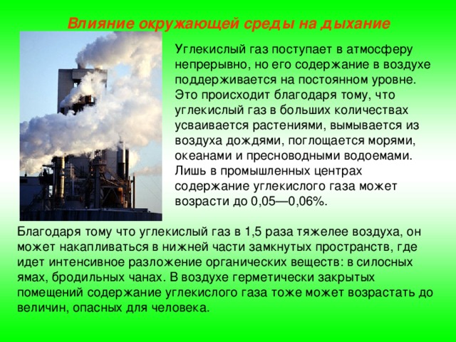 Влияние окружающей среды на дыхание Углекислый газ поступает в атмосферу непрерывно, но его содержание в воздухе поддерживается на постоянном уровне. Это происходит благодаря тому, что углекислый газ в больших количествах усваивается растениями, вымывается из воздуха дождями, поглощается морями, океанами и пресноводными водоемами. Лишь в промышленных центрах содержание углекислого газа может возрасти до 0,05—0,06%. Благодаря тому что углекислый газ в 1,5 раза тяжелее воздуха, он может накапливаться в нижней части замкнутых пространств, где идет интенсивное разложение органических веществ: в силосных ямах, бродильных чанах. В воздухе герметически закрытых помещений содержание углекислого газа тоже может возрастать до величин, опасных для человека. 