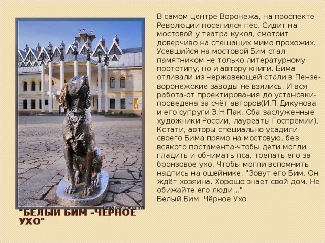 В самом центре Воронежа, на проспекте Революции поселился пёс. Сидит на мостовой у театра кукол, смотрит доверчиво на спешащих мимо прохожих. Усевшийся на мостовой Бим стал памятником не только литературному прототипу, но и автору книги. Бима отливали из нержавеющей стали в Пензе-воронежские заводы не взялись. И вся работа-от проектирования до установки-проведена за счёт авторов(И.П.Дикунова и его супруги Э.Н Пак. Оба заслуженные художники России, лауреаты Госпремии). Кстати, авторы специально усадили своего Бима прямо на мостовую, без всякого постамента-чтобы дети могли гладить и обнимать пса, трепать его за бронзовое ухо. Чтобы могли вспомнить надпись на ошейнике. 
