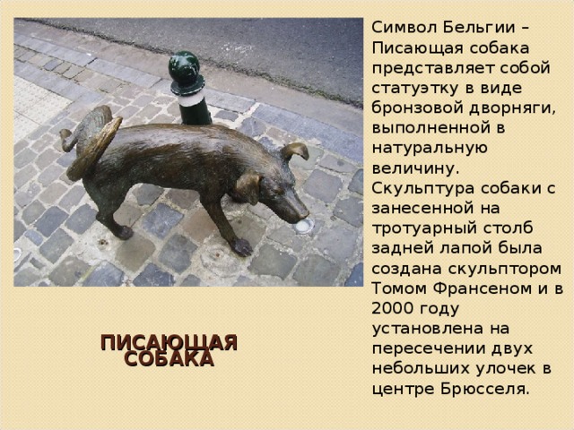Символ Бельгии –Писающая собака представляет собой статуэтку в виде бронзовой дворняги, выполненной в натуральную величину. Скульптура собаки с занесенной на тротуарный столб задней лапой была создана скульптором Томом Франсеном и в 2000 году установлена на пересечении двух небольших улочек в центре Брюсселя. ПИСАЮЩАЯ СОБАКА 