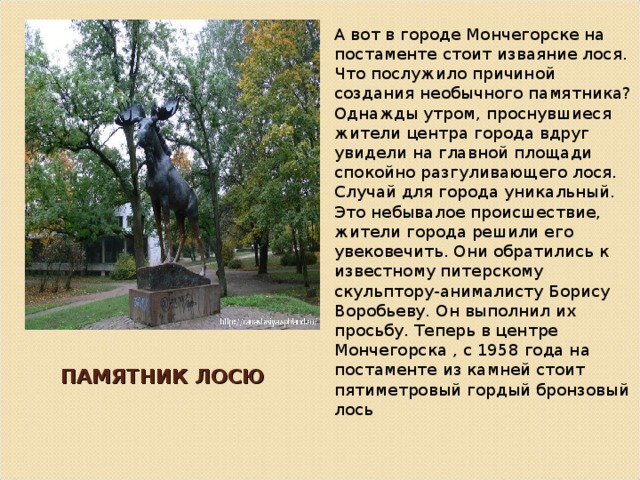 А вот в городе Мончегорске на постаменте стоит изваяние лося. Что послужило причиной создания необычного памятника? Однажды утром, проснувшиеся жители центра города вдруг увидели на главной площади спокойно разгуливающего лося. Случай для города уникальный. Это небывалое происшествие, жители города решили его увековечить. Они обратились к известному питерскому скульптору-анималисту Борису Воробьеву. Он выполнил их просьбу. Теперь в центре Мончегорска , с 1958 года на постаменте из камней стоит пятиметровый гордый бронзовый лось ПАМЯТНИК ЛОСЮ 