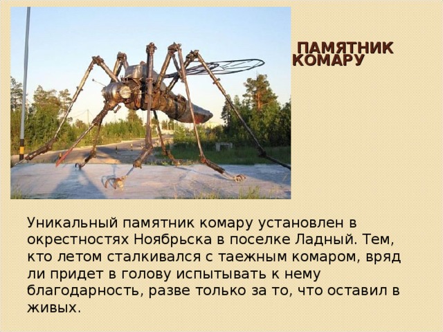  ПАМЯТНИК КОМАРУ Уникальный памятник комару установлен в окрестностях Ноябрьска в поселке Ладный. Тем, кто летом сталкивался с таежным комаром, вряд ли придет в голову испытывать к нему благодарность, разве только за то, что оставил в живых. 