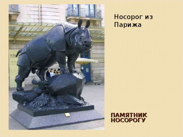 Носорог из Парижа ПАМЯТНИК НОСОРОГУ 