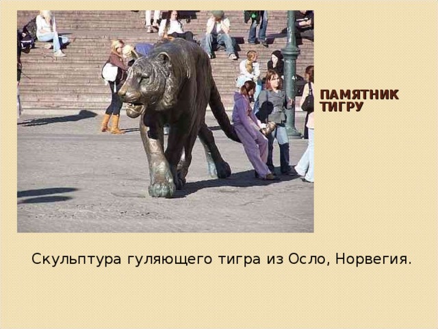 ПАМЯТНИК ТИГРУ   Скульптура гуляющего тигра из Осло, Норвегия. 