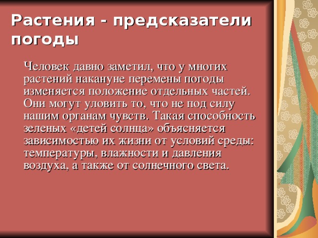 Растения - предсказатели погоды  Человек давно заметил, что у многих растений накануне перемены погоды изменяется положение отдельных частей. Они могут уловить то, что не под силу нашим органам чувств. Такая способность зеленых «детей солнца» объясняется зависимостью их жизни от условий среды: температуры, влажности и давления воздуха, а также от солнечного света.    