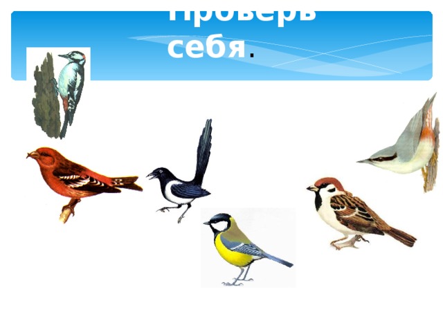 Проверь себя . 