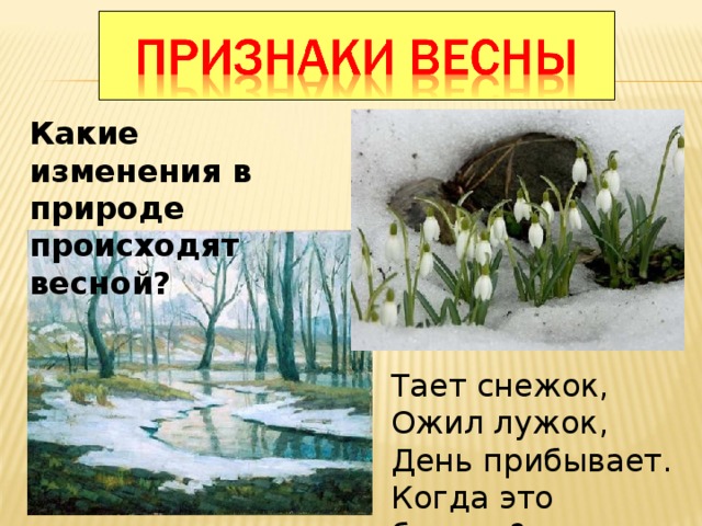 Какие изменения в природе происходят весной? Тает снежок, Ожил лужок, День прибывает. Когда это бывает? 