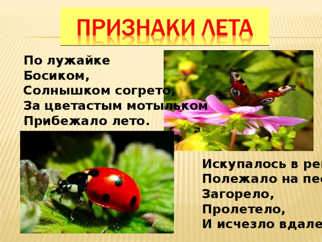 По лужайке Босиком, Солнышком согрето, За цветастым мотыльком Прибежало лето.  Искупалось в реке, Полежало на песке, Загорело, Пролетело, И исчезло вдалеке. 