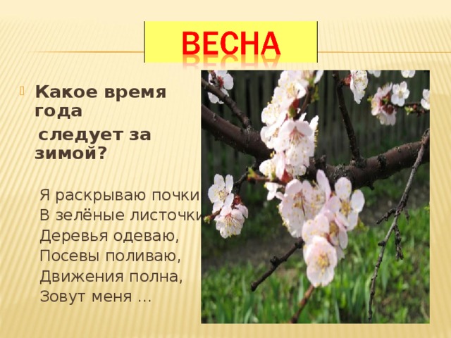 Какое время года  следует за зимой?  Я раскрываю почки,  В зелёные листочки  Деревья одеваю,  Посевы поливаю,  Движения полна,  Зовут меня … 
